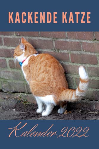 Kackende Katzen Kalender 2022: Das lustige Katzen Kalender | Geschenk