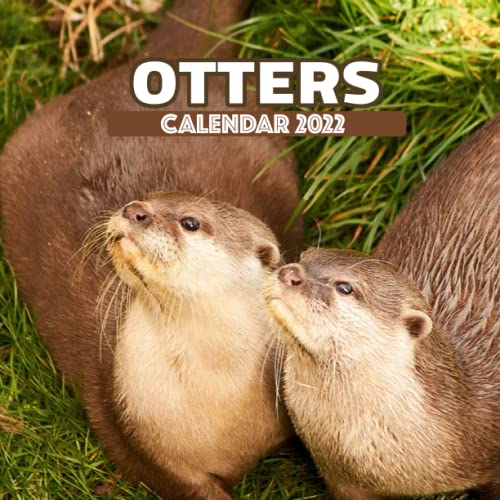 Otters 2022 Calendar: A Monthly Mini Otters Calendar 2022 Beautiful