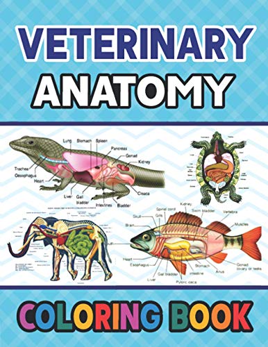 Veterinary Anatomy Coloring Book: Learn The Veterinary Anatomy With Fun & Easy. Younger kids for ...