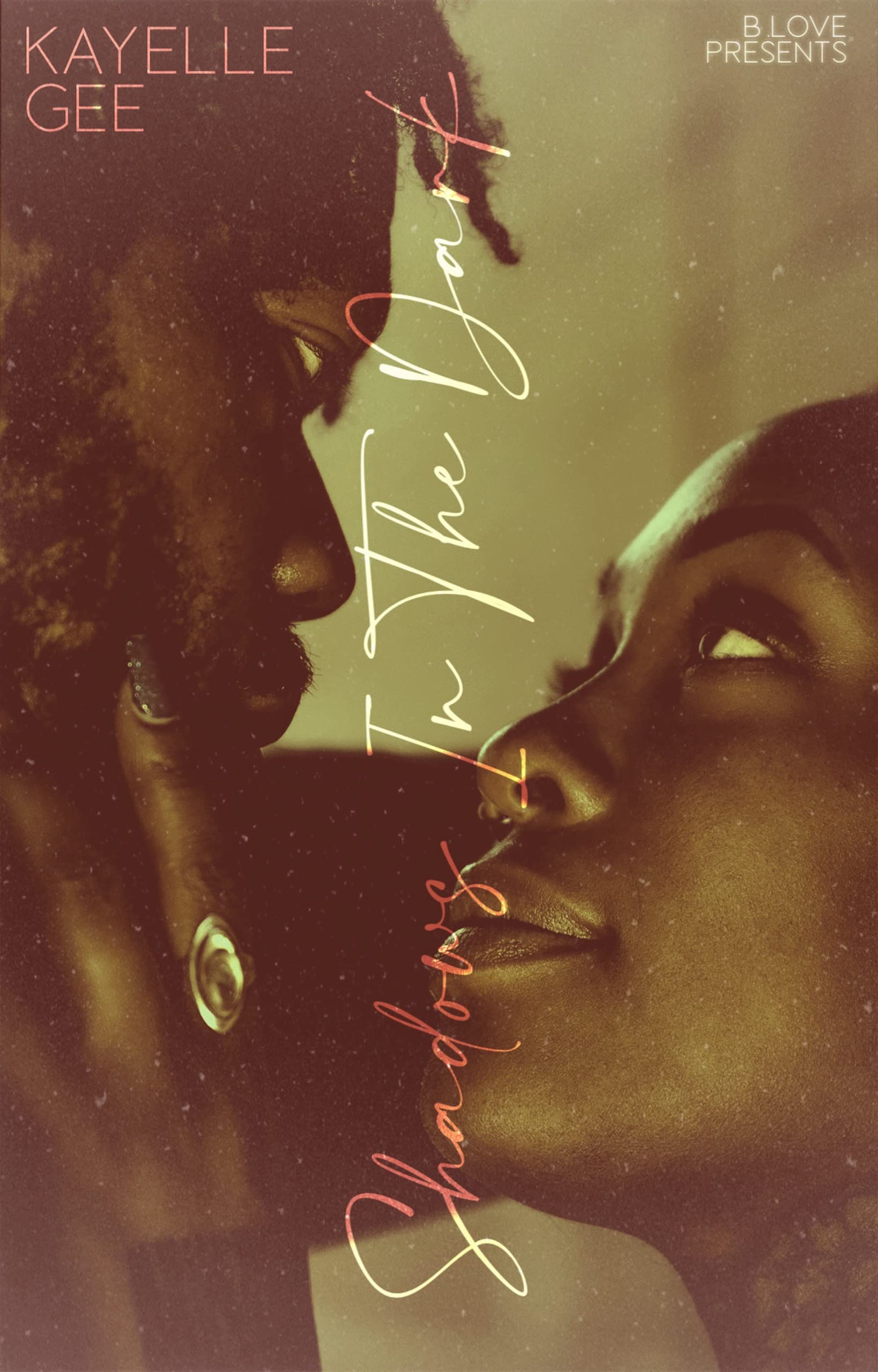 Shadows in the Dark book cover