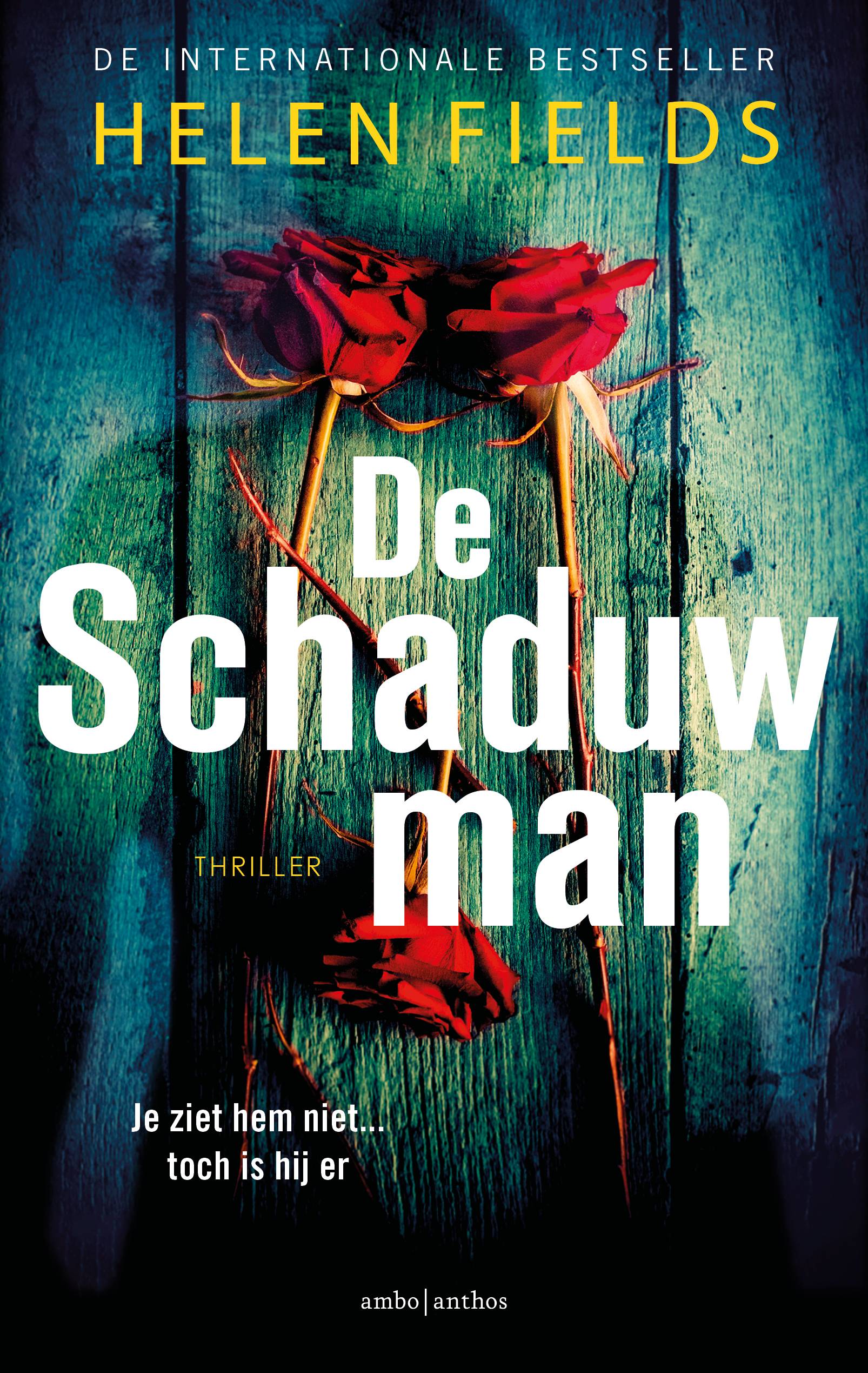 De schaduwman (Connie Woolwine, #1)