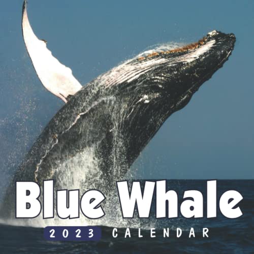 Blue Whale Calendar 18month 2023 Calendar Large monthly grid for