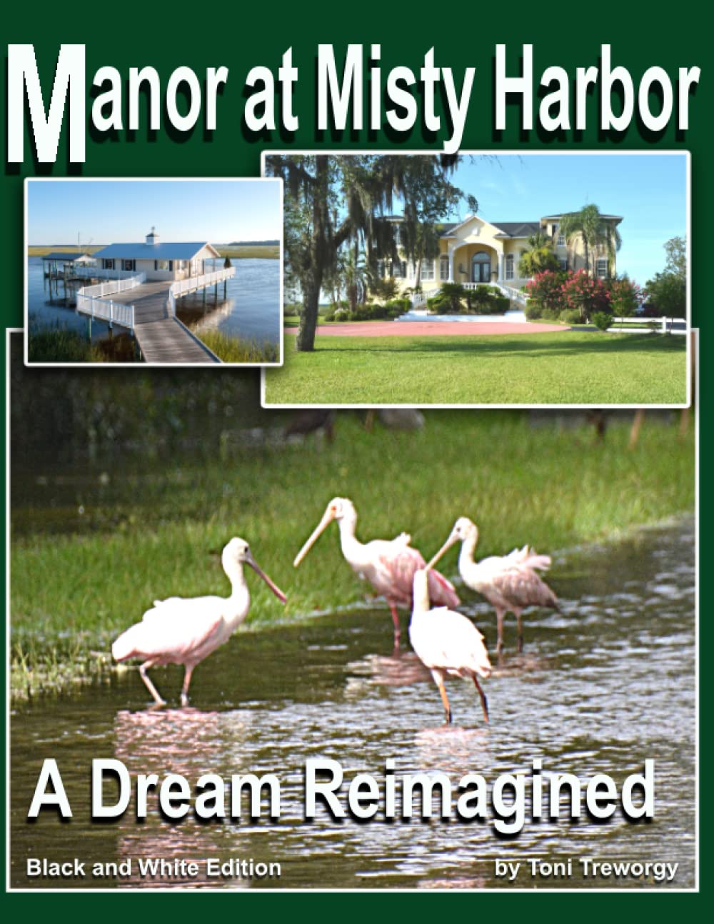 Manor at Misty Harbor a Dream Reimagined (Abbreviated Version