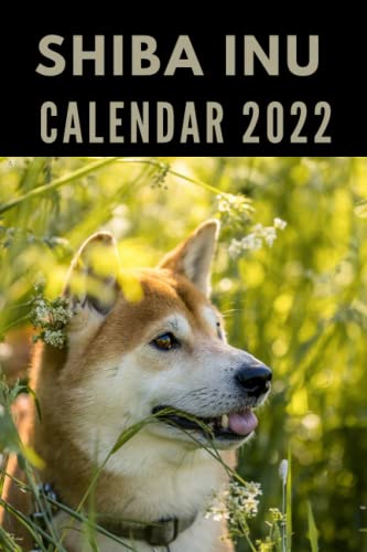 Shiba inu calendar 2022: simple 12 Month Calendar Cute Gift Idea For