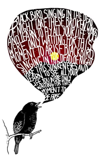 notebook : Black Bird Singing In The Dead Of Night, Take These Broken ...