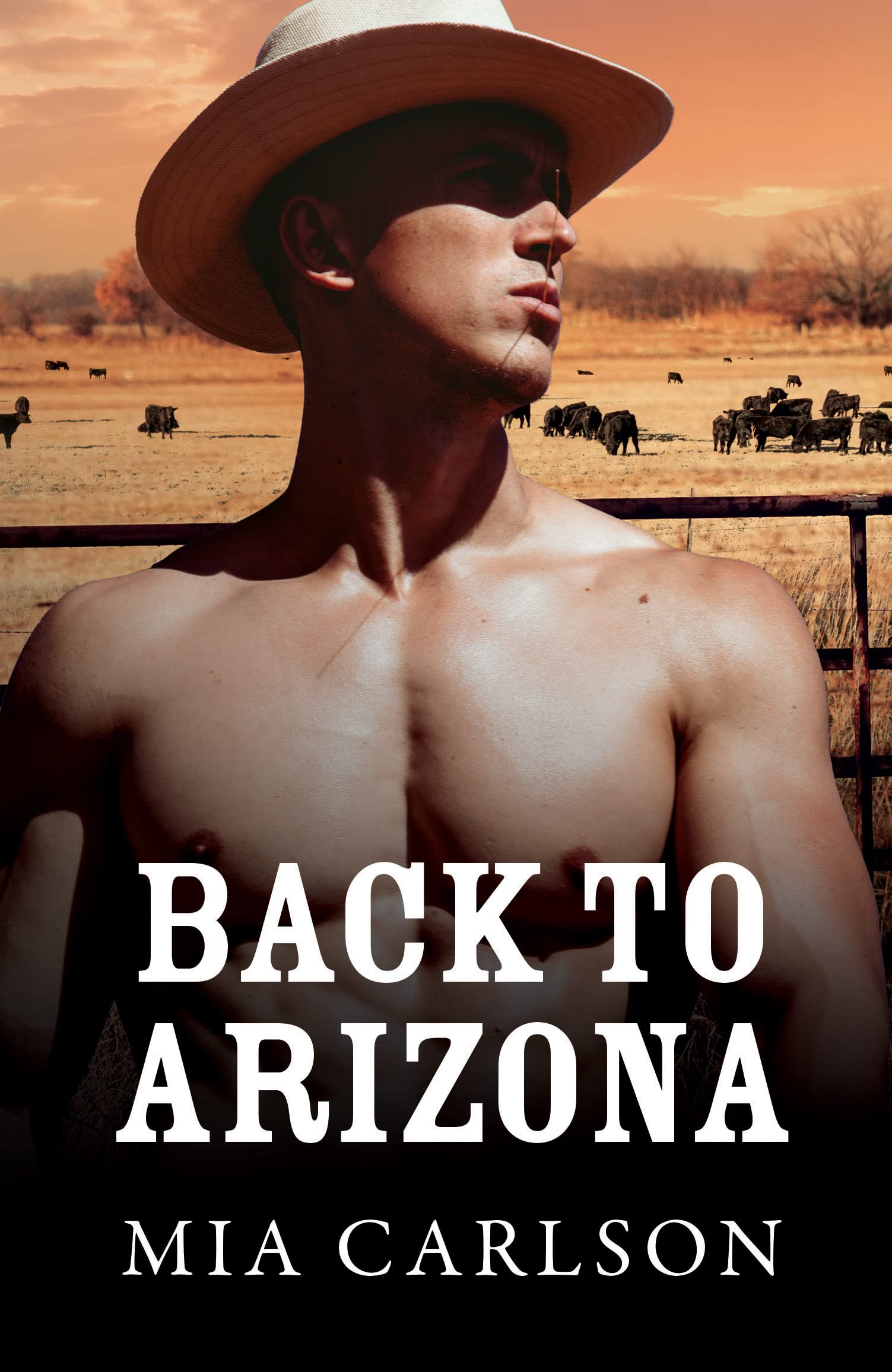 Back to Arizona