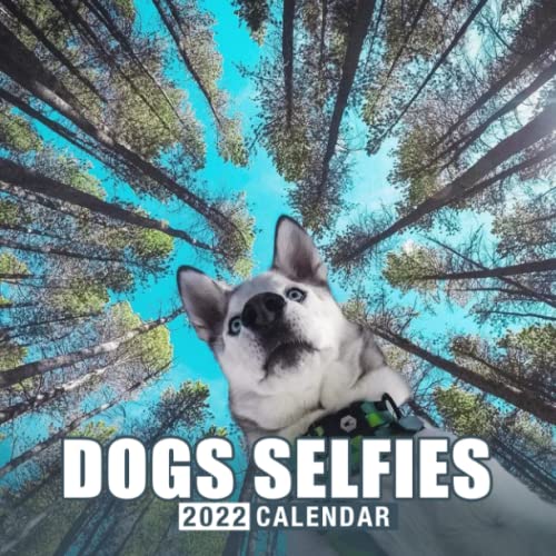 Dogs Selfies Paparazzi Calendar 2022 Funny Selfies Dogs, Lovely Face