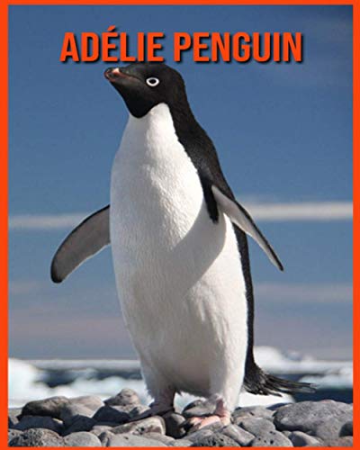 Adélie Penguin: Amazing Photos & Fun Facts Book About Adélie Penguin