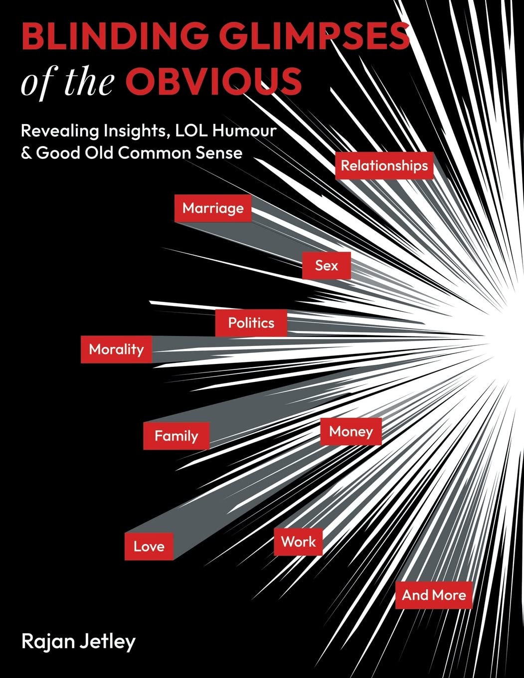 Blinding Glimpses of the Obvious: Revealing Insights, Lol Humour & Good Old Common Sense