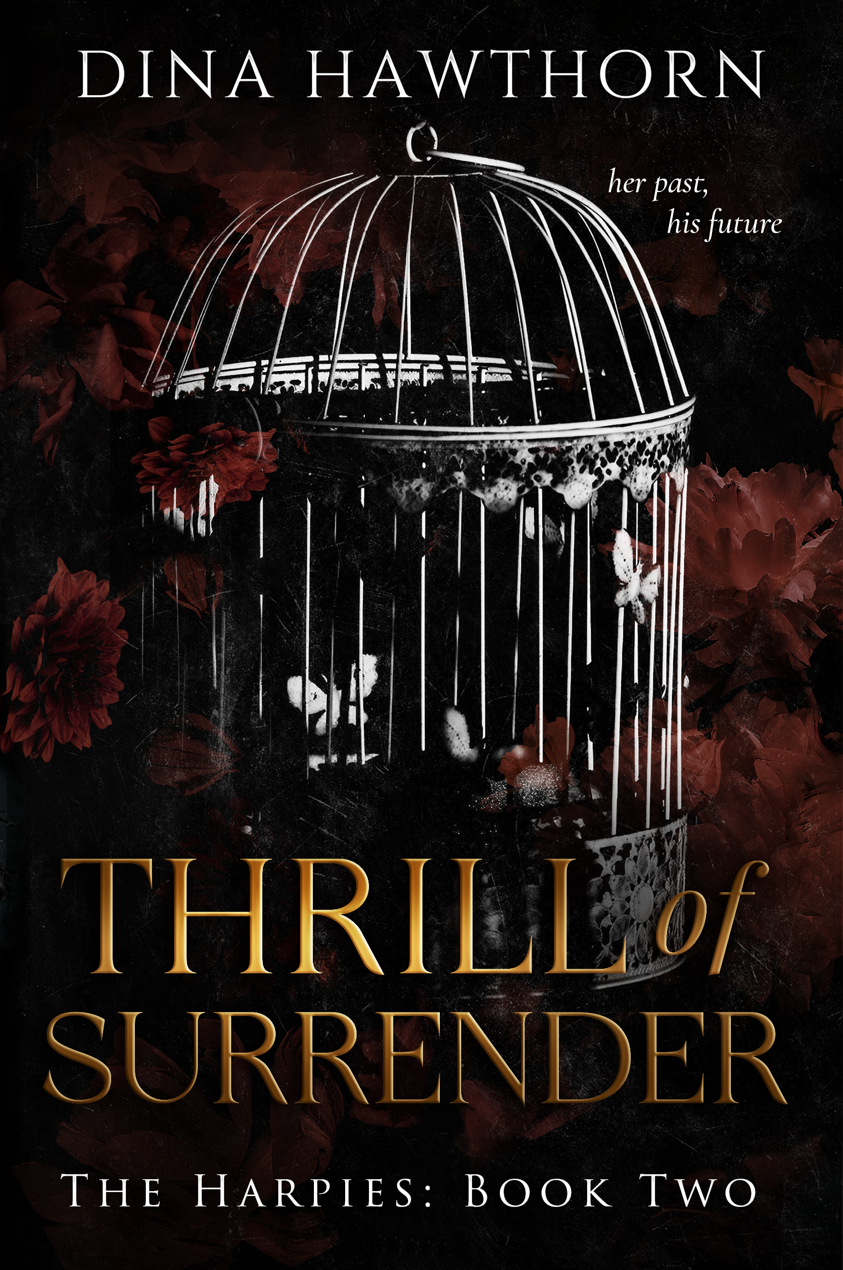 Thrill of Surrender