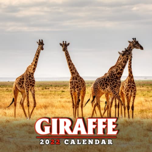 Giraffes Animals 2022 Calendar A Great Gift For Giraffe Lovers To