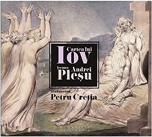 Audiobook CD - Cartea lui Iov. Lectura Andrei Plesu book cover