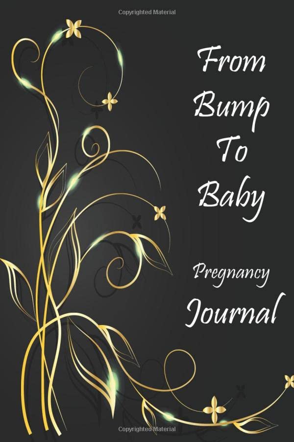 From Bump to Baby Pregnancy Journal Pregnancy Journal For Mom Mom's