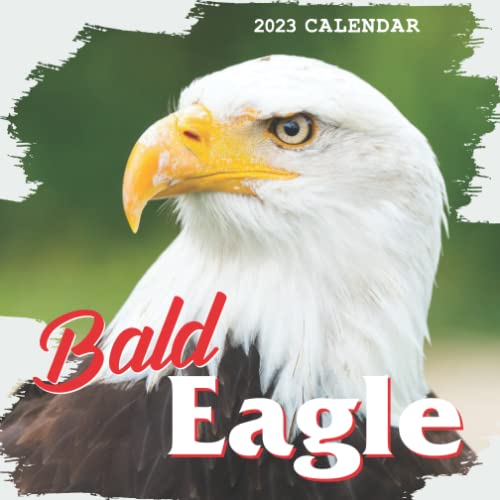 Bald Eagle Calendar Beautiful 2023 Calendar Gift for Family, Friends