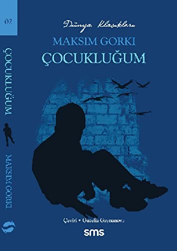 Çocuklugum book cover