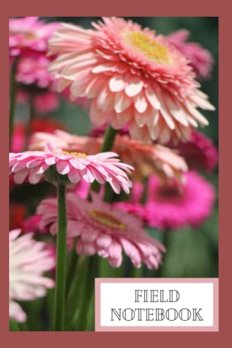 Field Notebook Examples Botany Field Notebook: Notebook Sketchbook. Gardening Or Horticultural Use ...