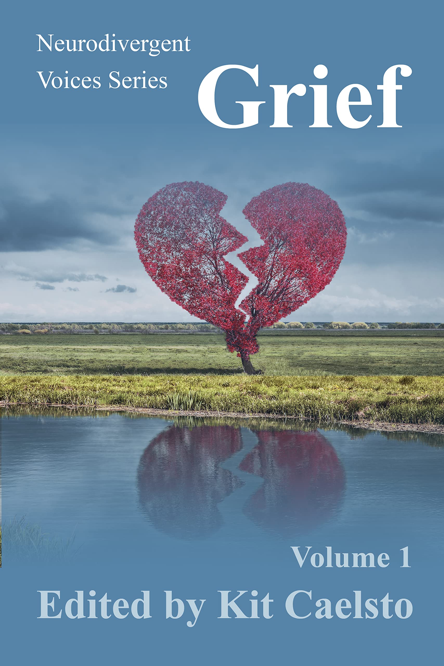 Neurodivergent Voices Series Grief Volume 1 by Kit Caelsto Goodreads