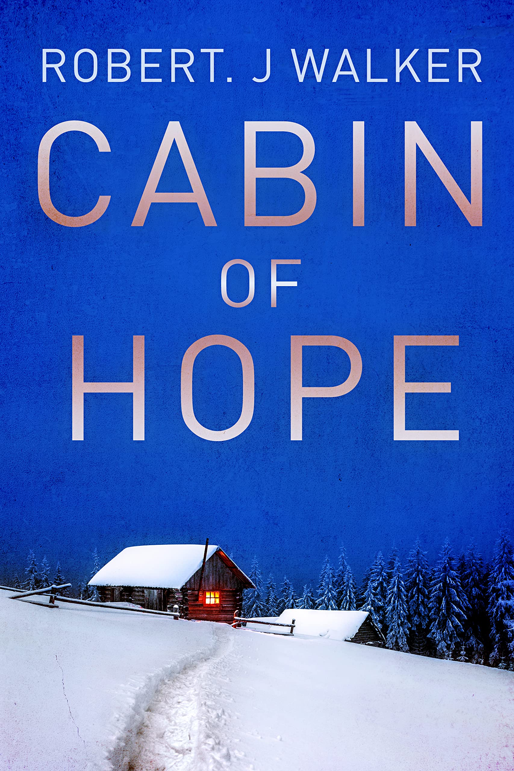 The Cabin of Hope: Cabin EMP Survival In A Powerless World Boxset