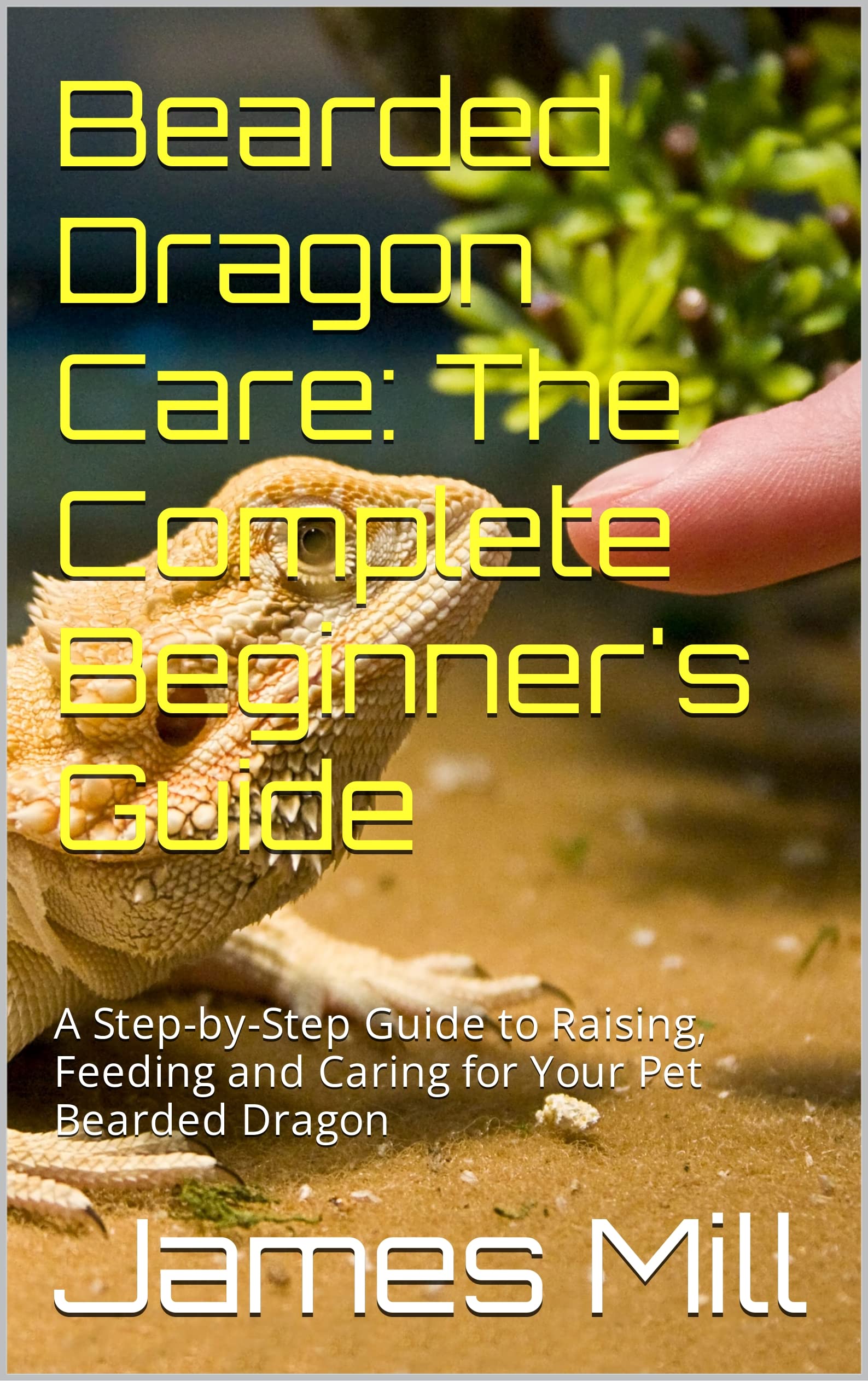 Umb Blackboard: The Complete Beginner'S Guide (Hidden Gems Inside!) - g2991d8