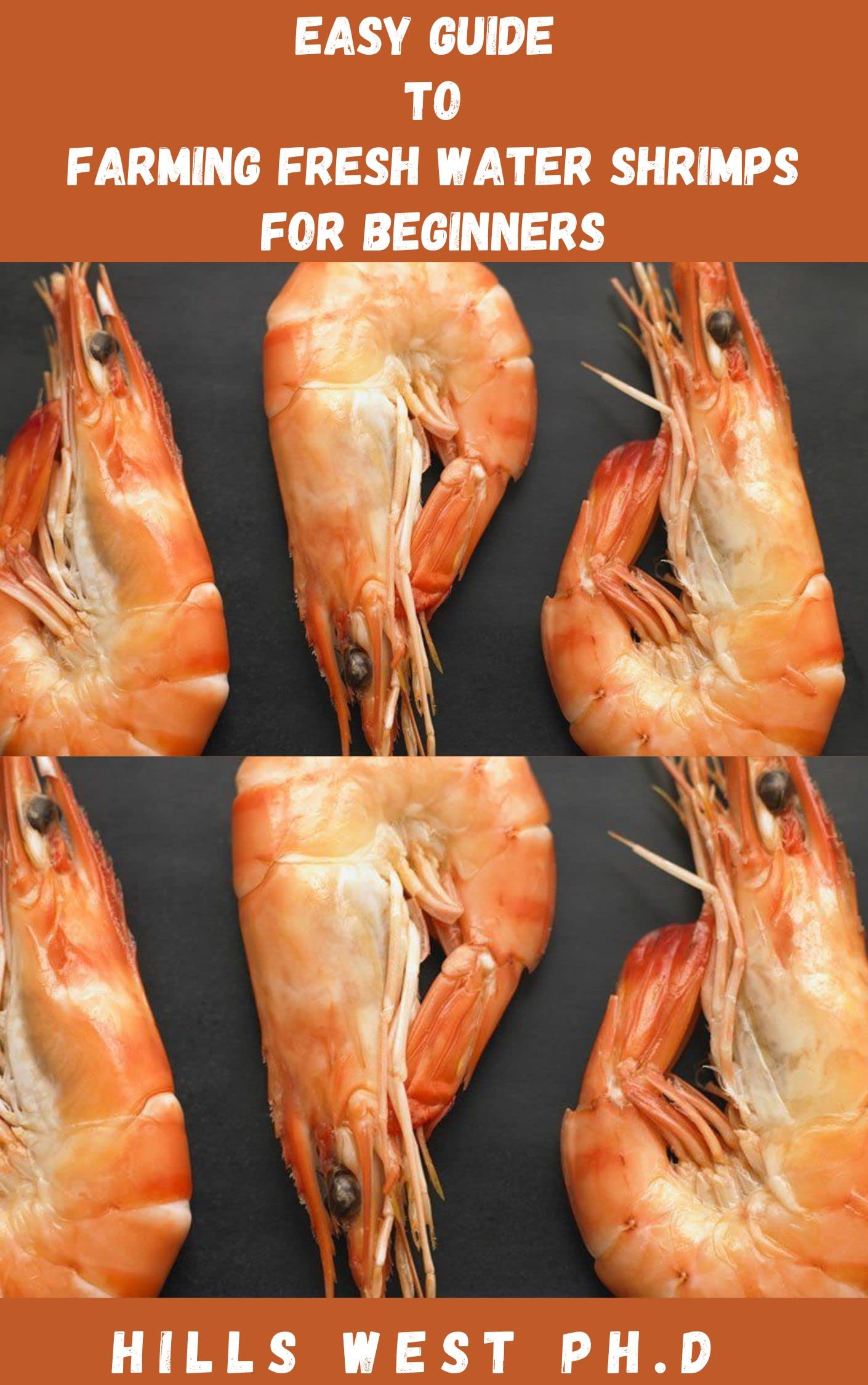 EASY GUIDE TO FARMING FRESHWATER SHRIMPS FOR STARTERS Everything You