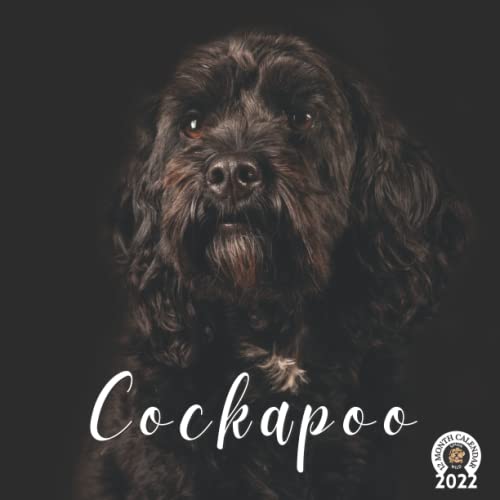 cockapoo calendar 2022 12 Monthly Grid Space for Plans and Schedules