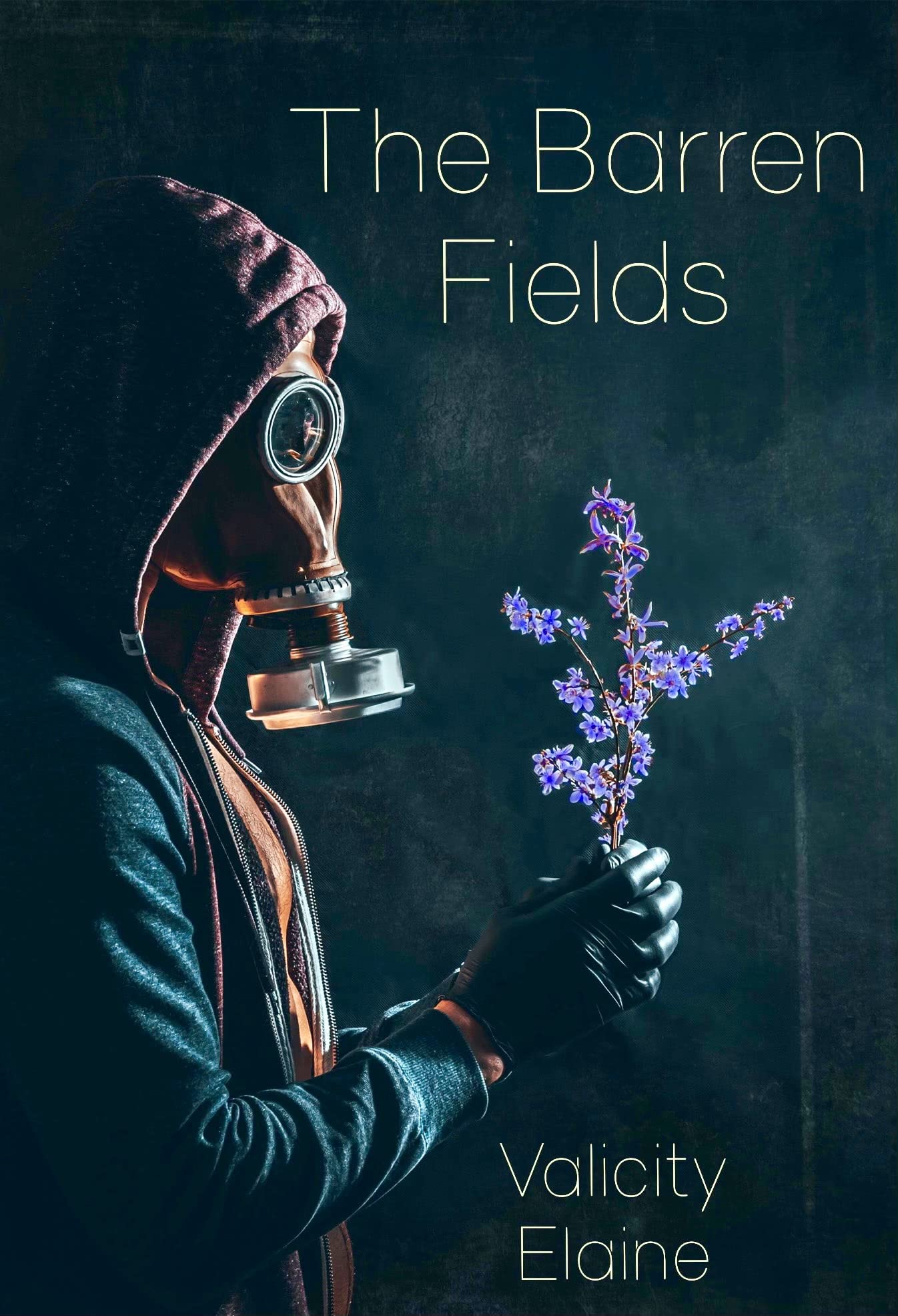 The Barren Fields: A Christian Post-Apocalyptic Novel
