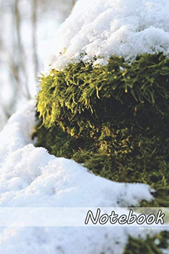 Snow Notebooks Notebook Moss under Snow: Cute Notebook, Notebooks for School ...