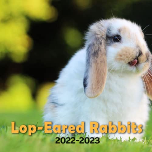 lop-eared-rabbits-2022-calendar-lovely-bunnies-gift-idea-white