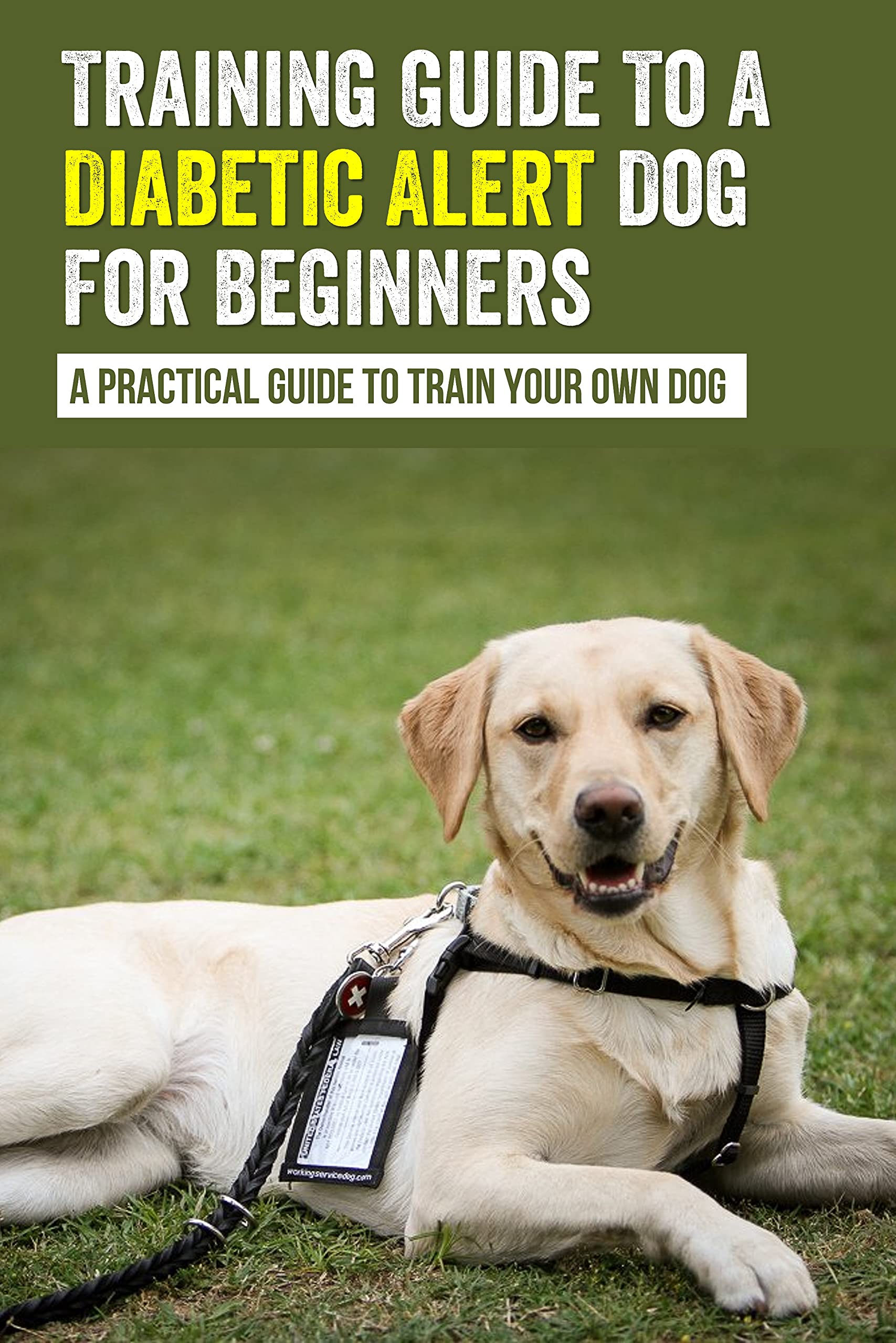 Training Guide To A Diabetic Alert Dog For Beginners A Practical
