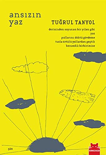 Ansizin Yaz book cover