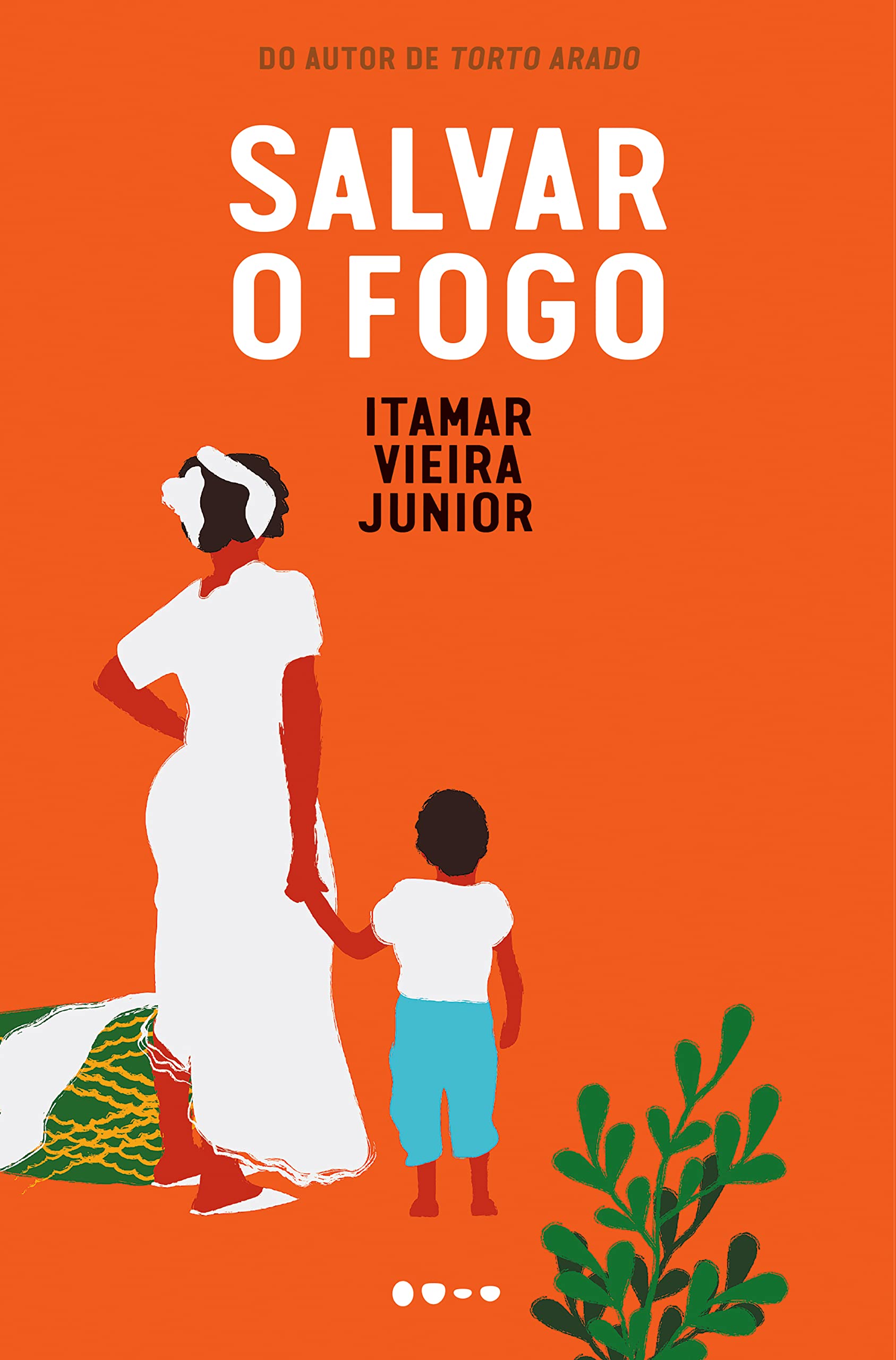 Salvar o fogo book cover