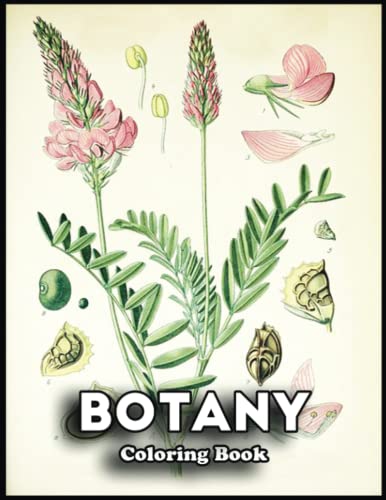 Botany Coloring Book Transform - 123352079 