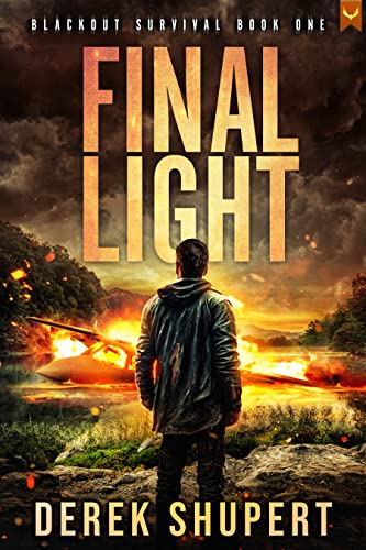 Final Light book cover