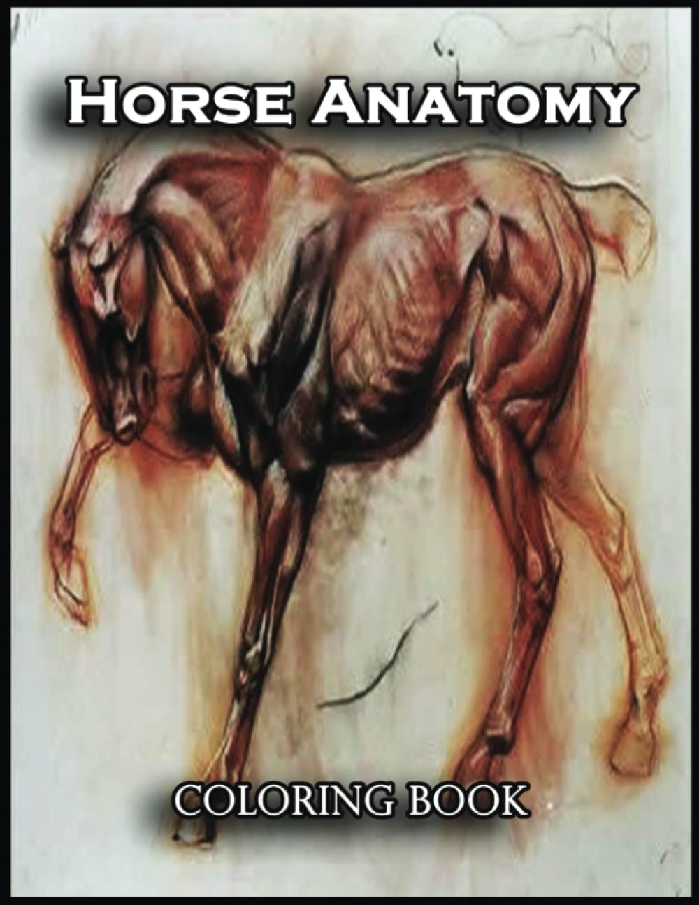 Horse Anatomy Coloring Book Discover a World of Color with this