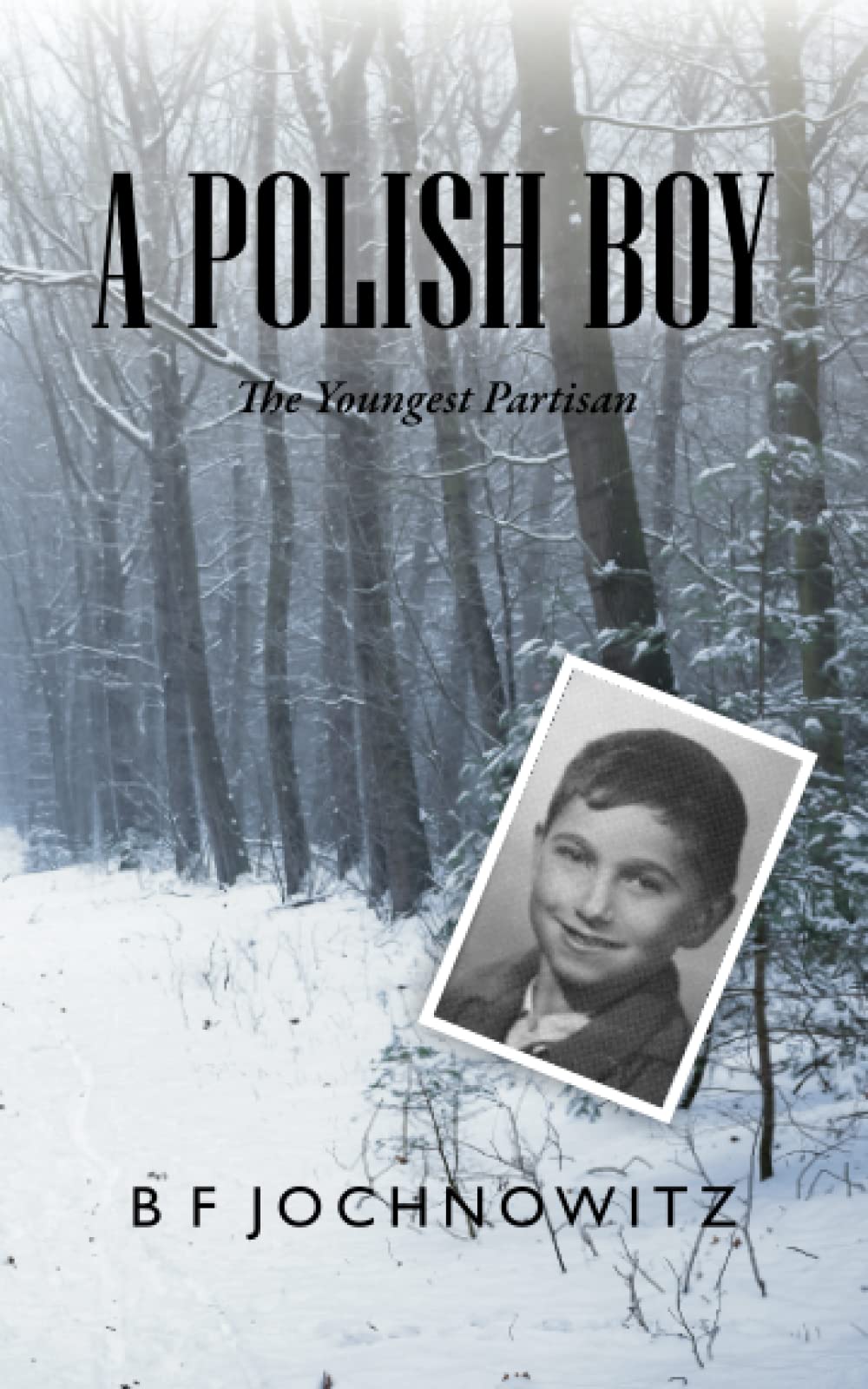 A Polish Boy The Youngest Partisan by B F Jochnowitz Goodreads