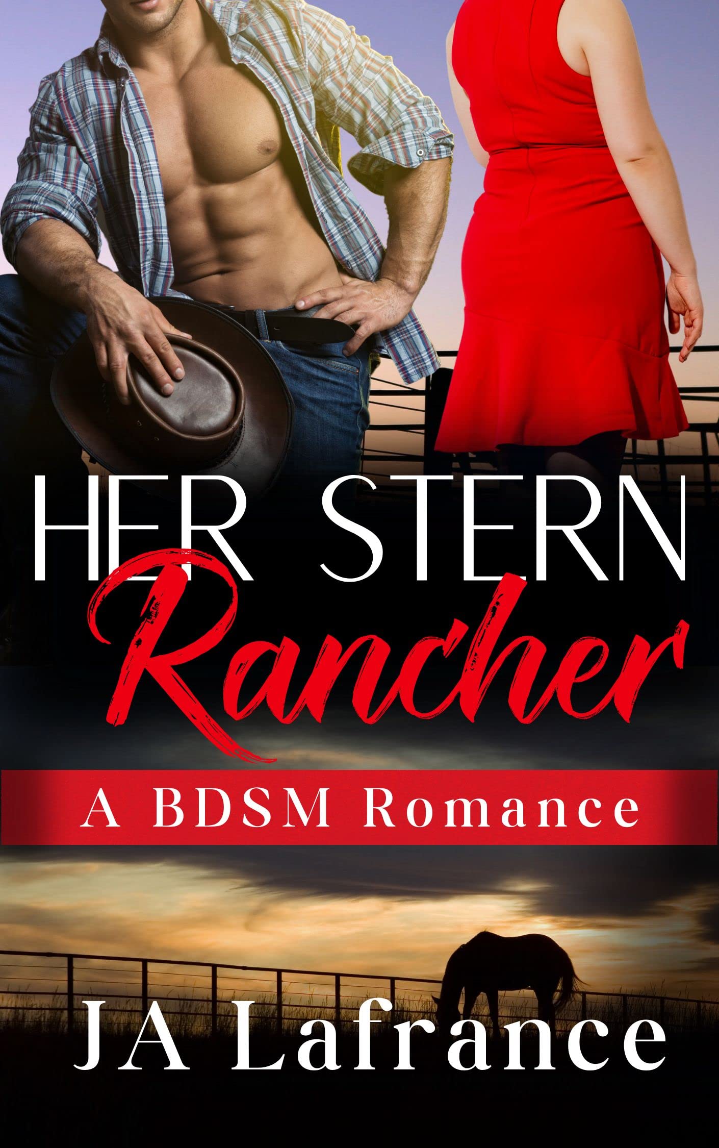 Her Stern Rancher book cover