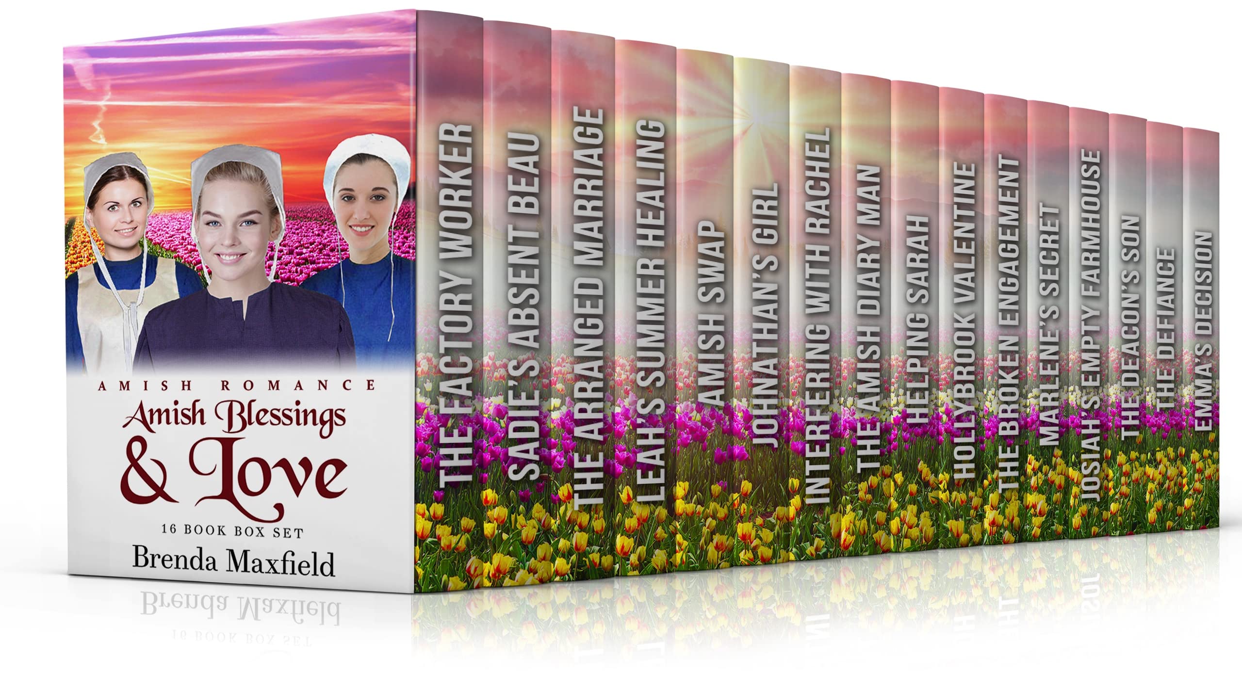 Amish Blessings & Love: 16 Book Boxset