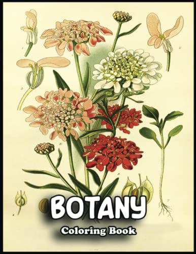 Botany Coloring Book Transform - 123551207 