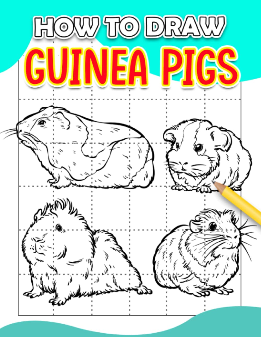 How To Draw Guinea Pigs 30 Simple And Basic Illustrations Of Lots Of