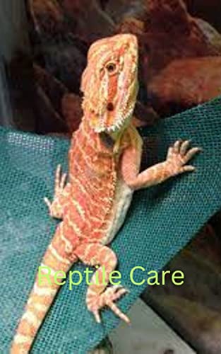 Reptile Care by Thomas Anderson | Goodreads