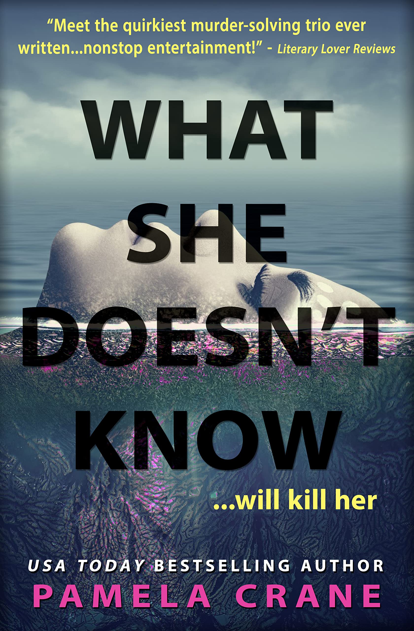 What She Doesn't Know book cover
