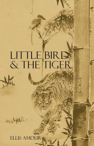Little Bird & The Tiger book cover