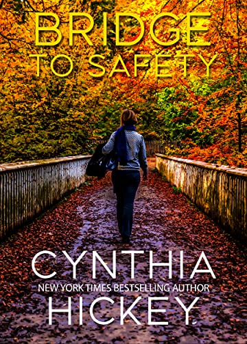 Bridge to Safety book cover