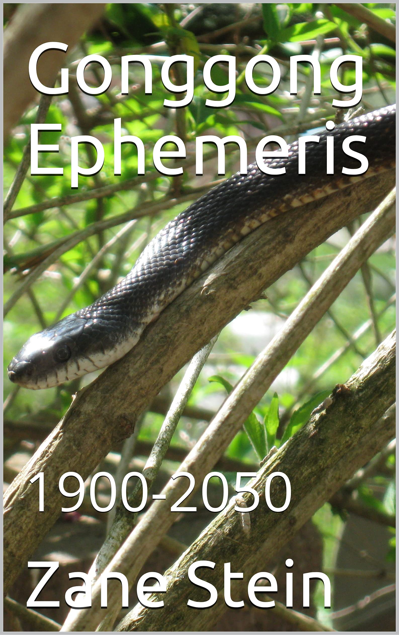 Gonggong Ephemeris 19002050 by Zane Stein Goodreads