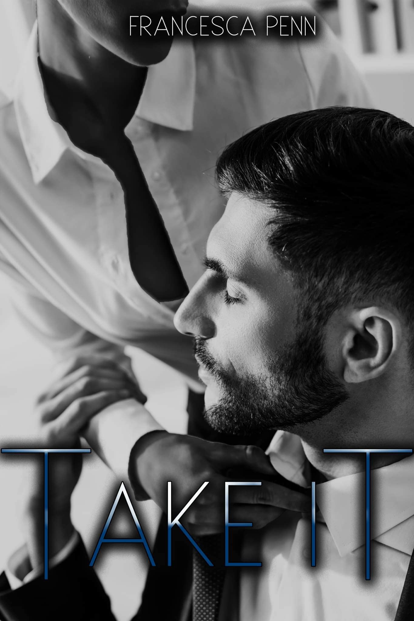 Take It book cover