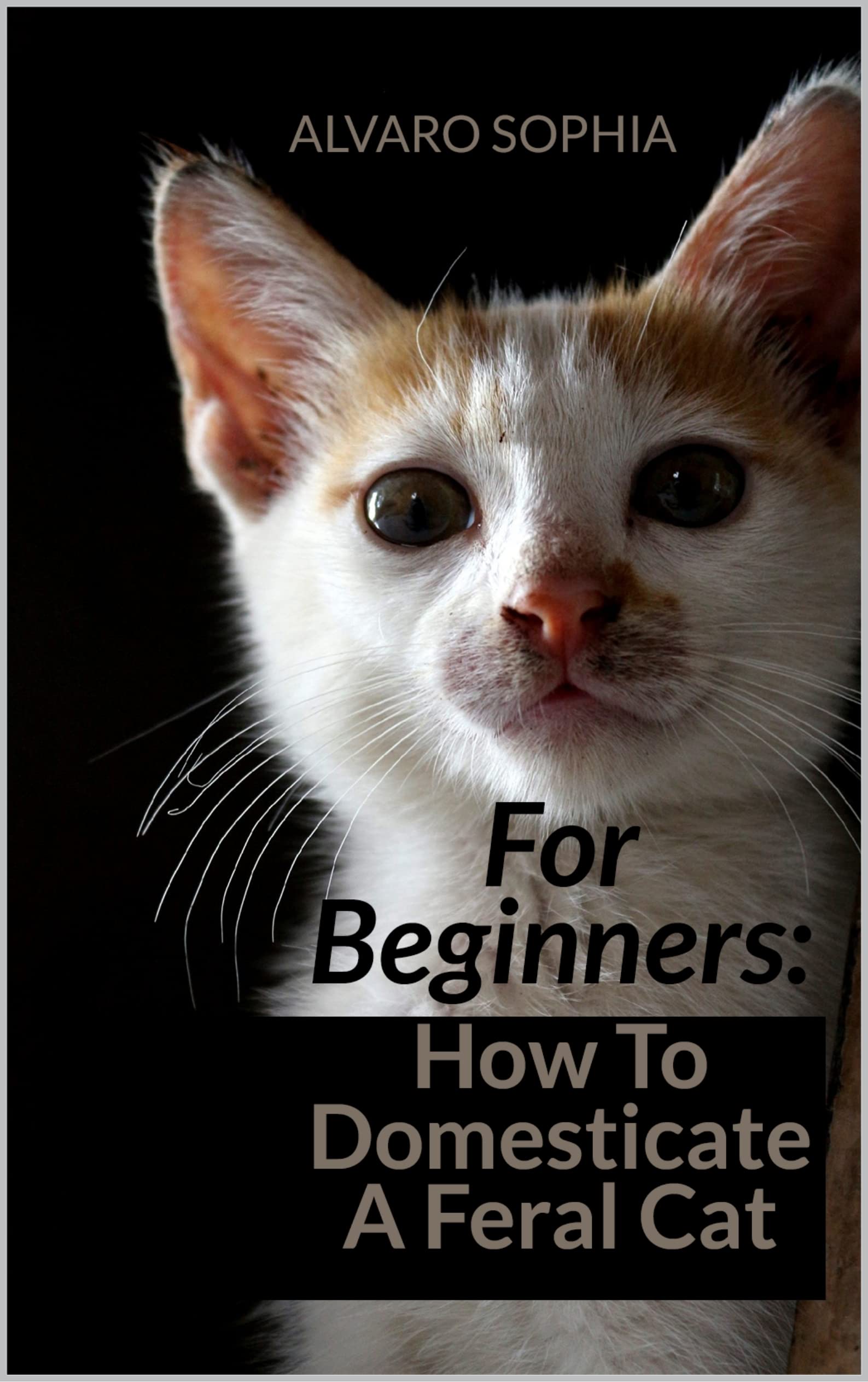 FOR BEGINNERS: HOW TO DOMESTICATE A FERAL CAT: A step by step process