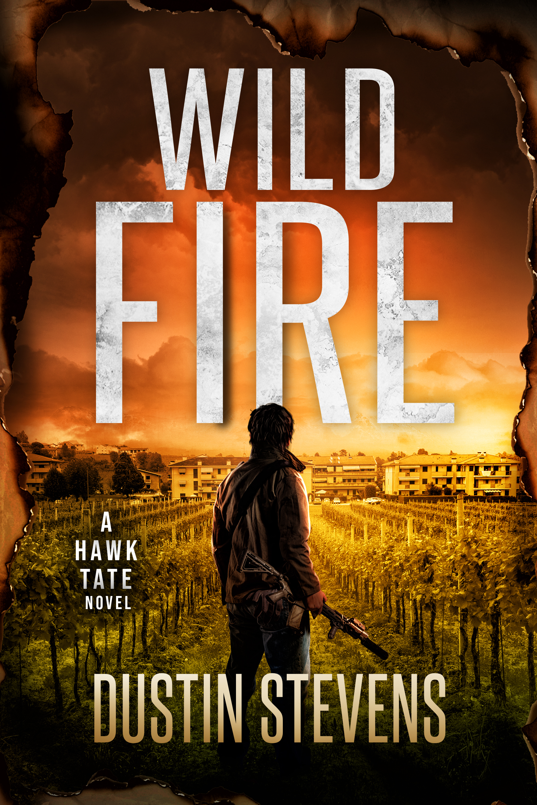 Wild Fire book cover