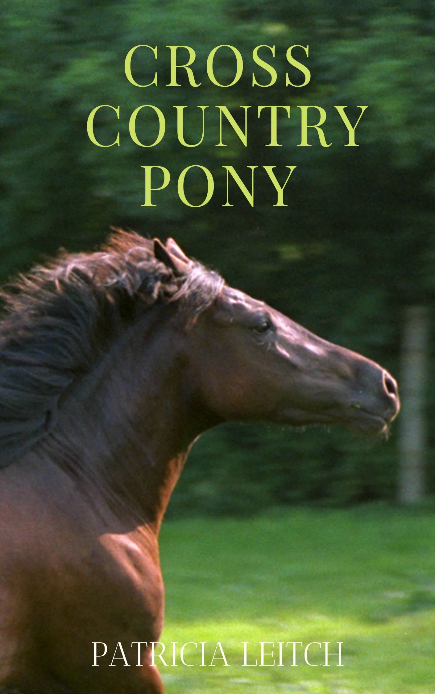 Cross Country Pony