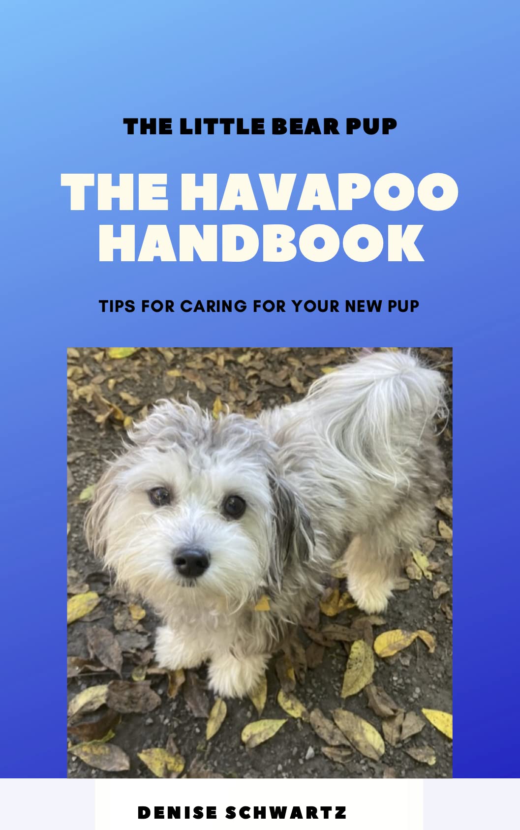 The Havapoo Handbook: TIPS FOR CARING FOR YOUR PUP by Denise Schwartz ...