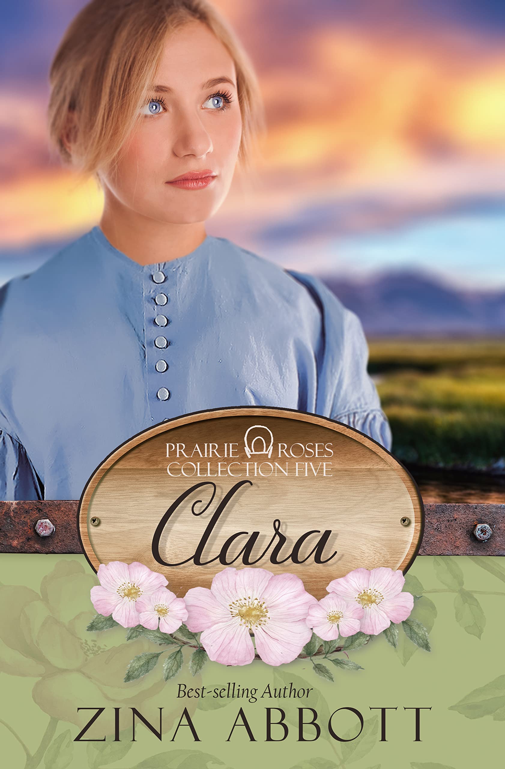 Clara: Prairie Roses Collection - Book 25